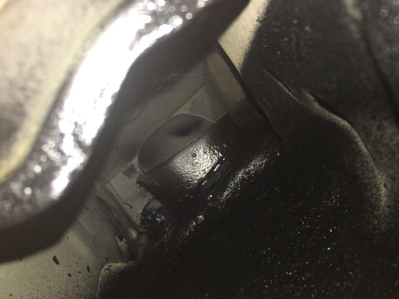 C834BF2D-E23B-4A62-90AB-0D3750AE515A.jpg