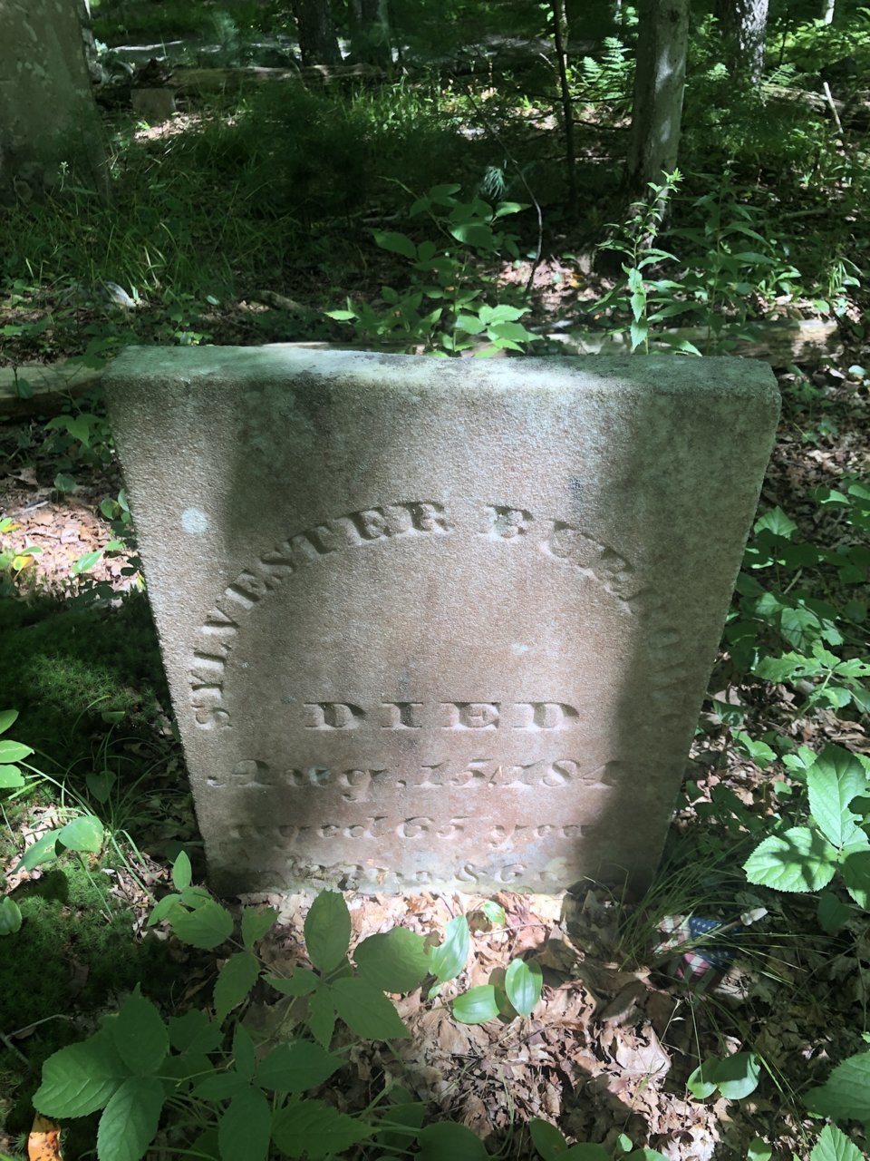 C88735E2-33B5-40F5-B073-C10D594ECEE3.jpg