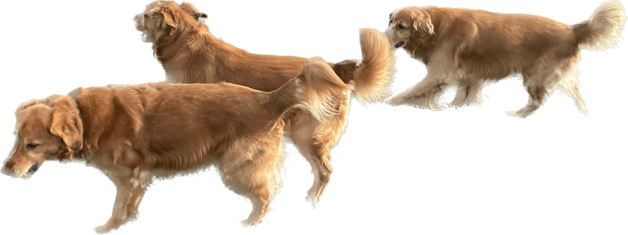 C8BCAEA9-7622-4854-BF48-B68C1470243E.png