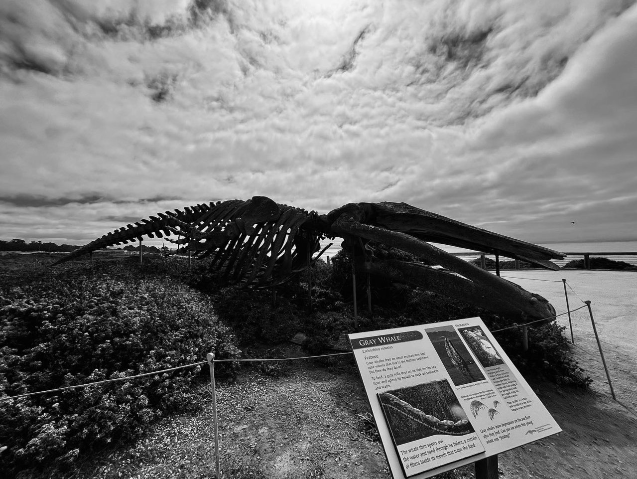 C902FC73-D7BF-43C8-A59B-99E79B540FB5.jpg