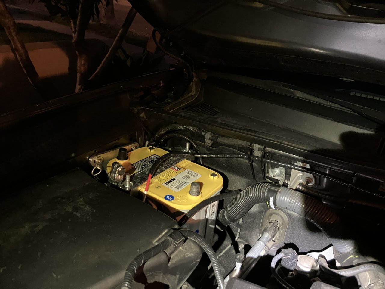 C958C807-069A-4160-BCDD-5AE397D146C3.jpg