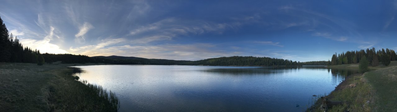 C9D49359-5C95-4003-A28E-2D45EC4F2358.jpg