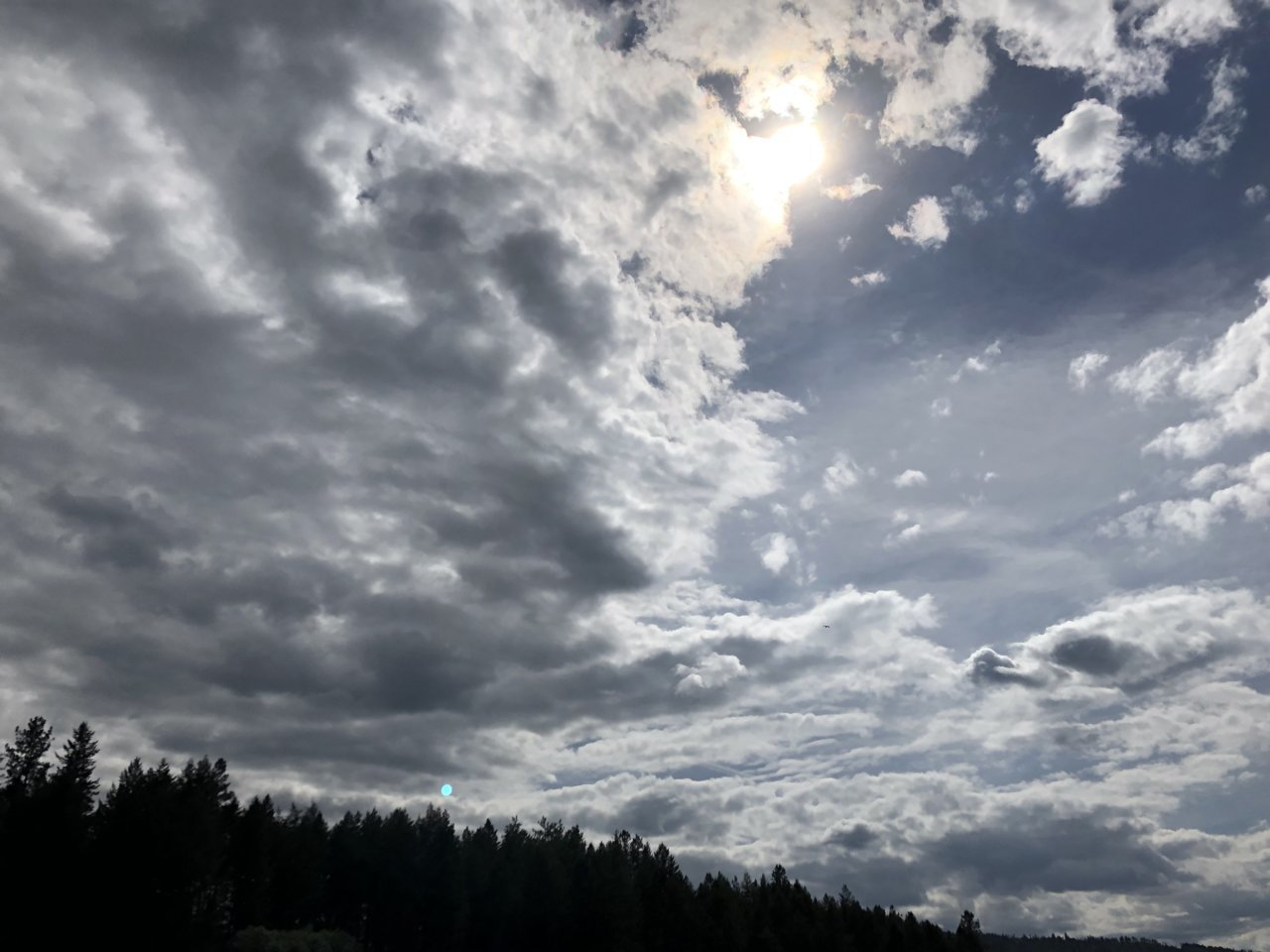 C9D5F4B5-0A78-4FC0-9ACC-7F657B84B95D.jpg