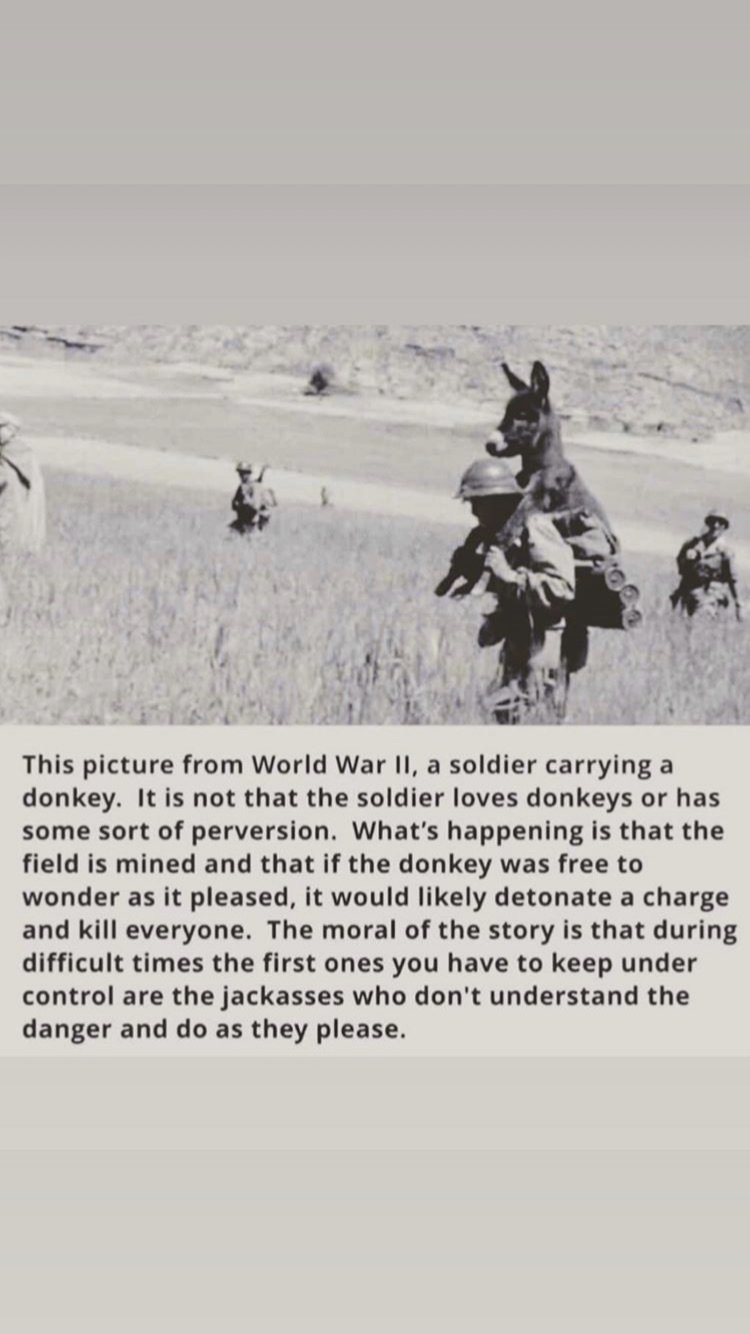 C9E26834-5765-4B81-A431-55C89980A0B9.jpg
