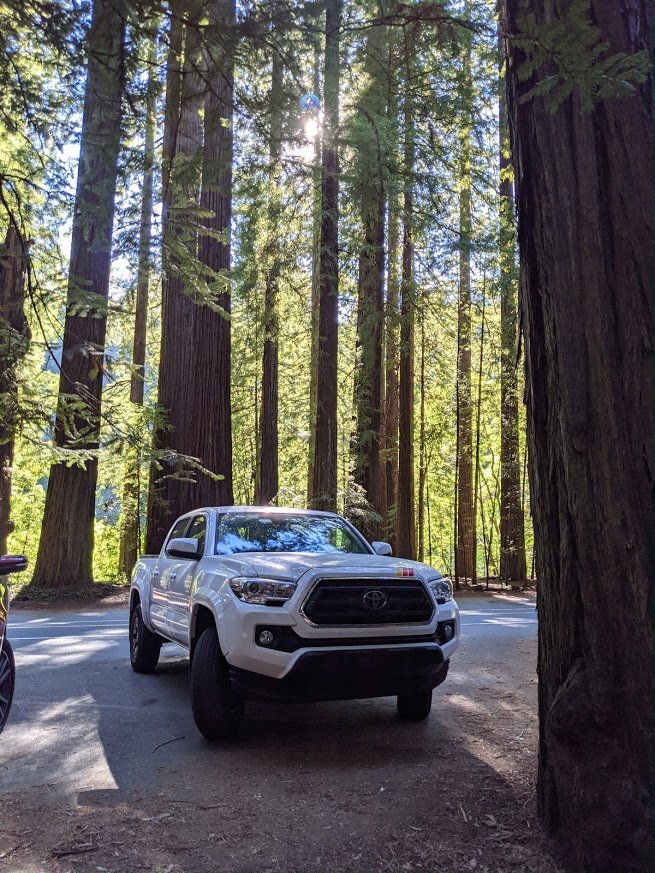 CA truck in forest.jpg