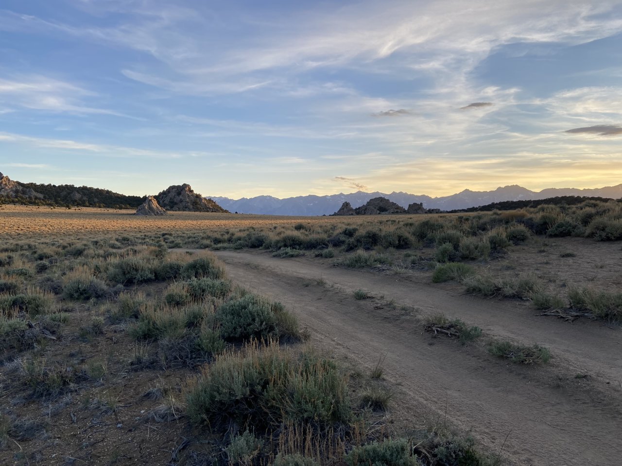 CA051D14-4A37-4323-AC7F-C47BD8164481.jpg
