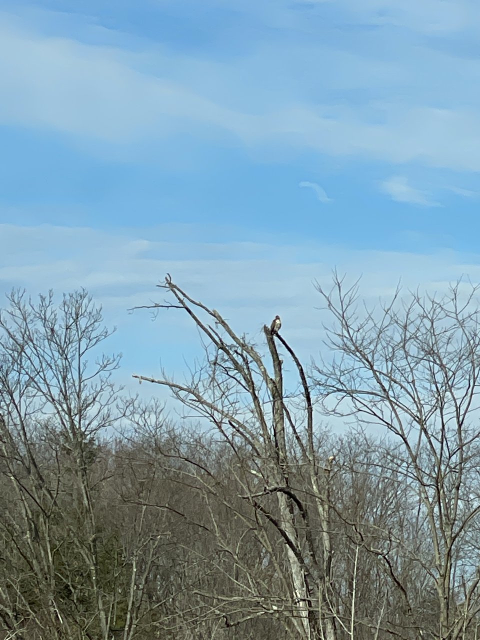 CA067ECE-BBE3-4684-A812-78F4454BD5E2.jpg