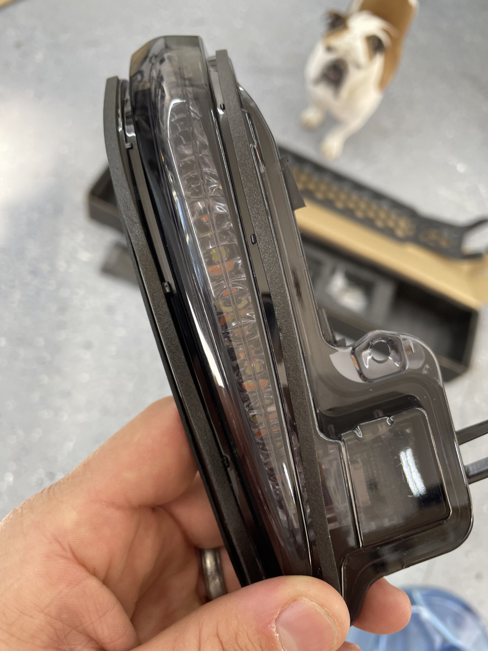 CA0BABF5-7961-4CC4-BA45-B79851EE72A3.jpg