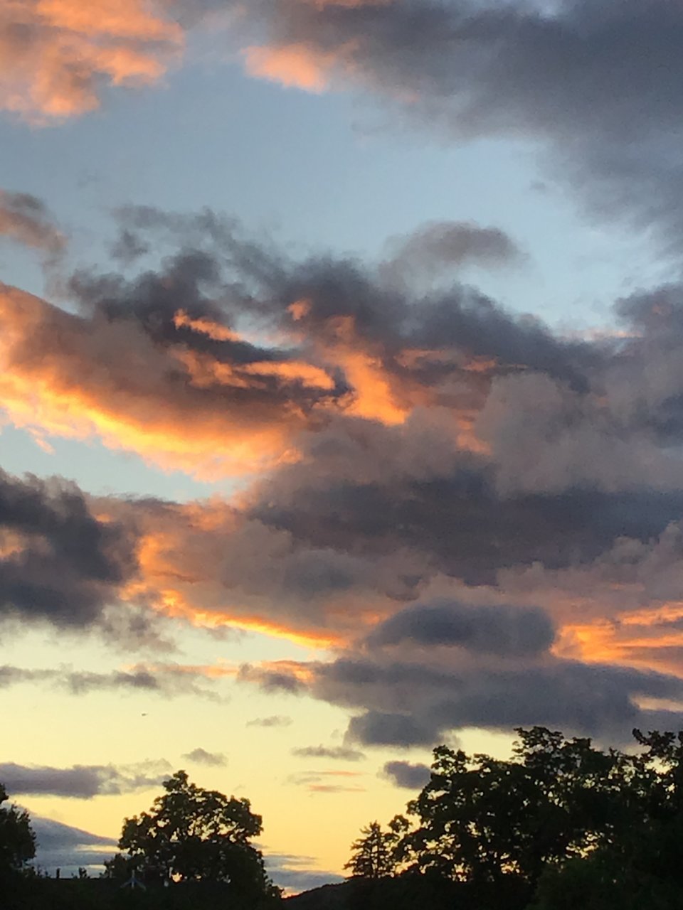 CA4825C8-1AE7-4F2A-A5B4-CCD4E4FD8AA2.jpg