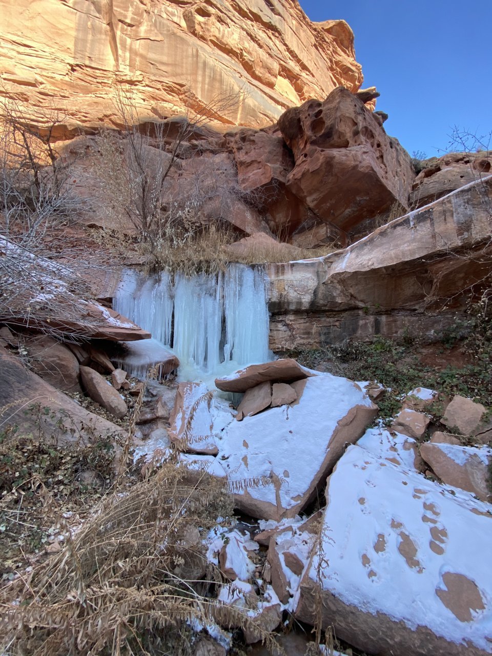 CA563DF6-09FF-4F28-AB0E-0540EA0A789D.jpg