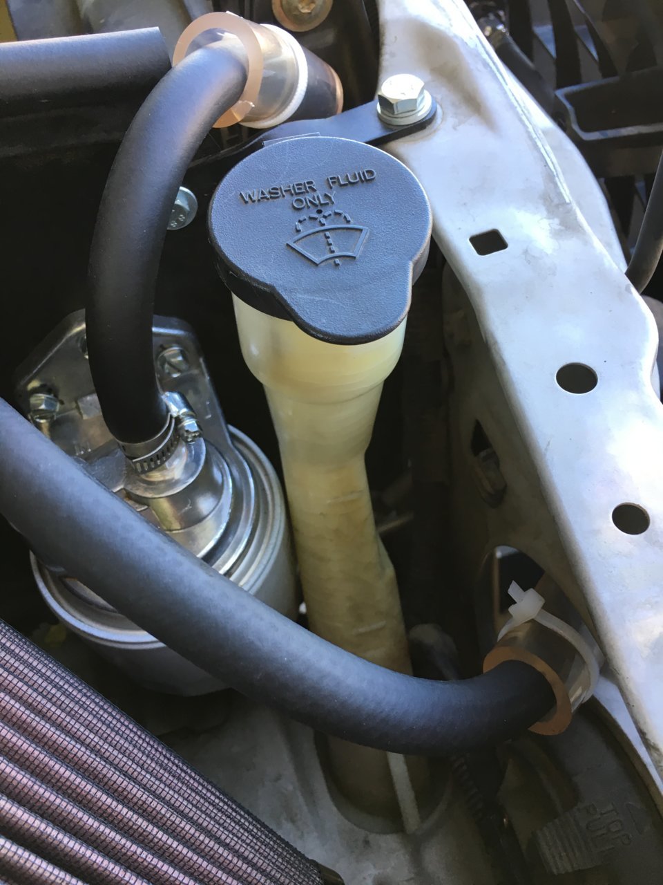 CAA199CA-44EF-4ABB-843F-85351F9791B9.jpg