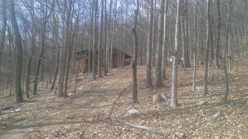 CABIN 2 066.jpg