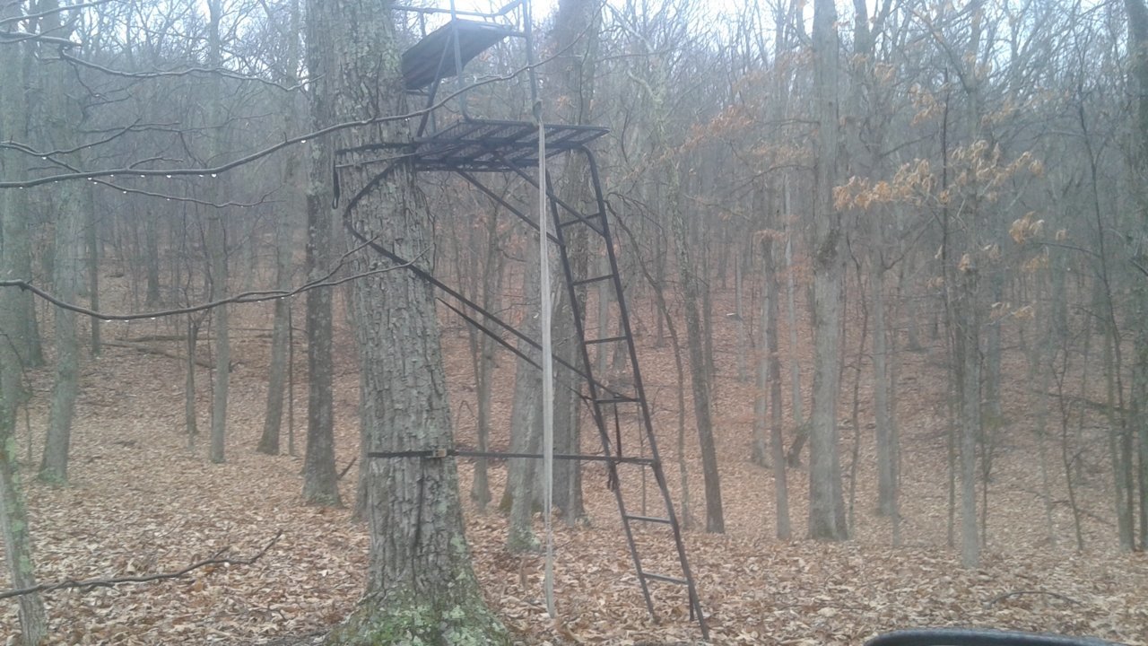 CABIN #2 071.jpg