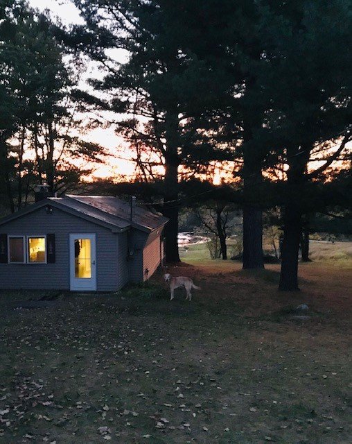cabin.jpg