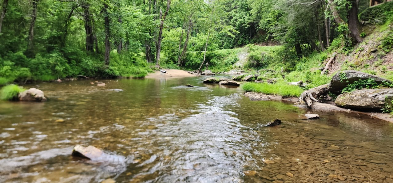 Cabin River 4.jpg