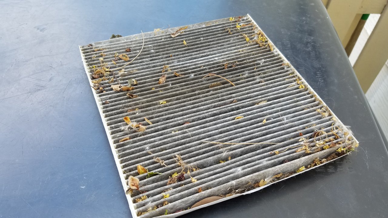 cabinFilter.jpg