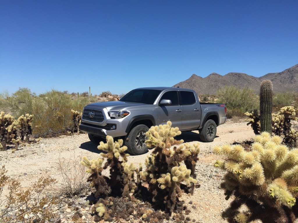 cacti1_zpssvqsm5k8_fd5f4ff847f806f0032ea945380537486e3167ad.jpg