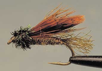 caddis emerger, lawson's.jpg