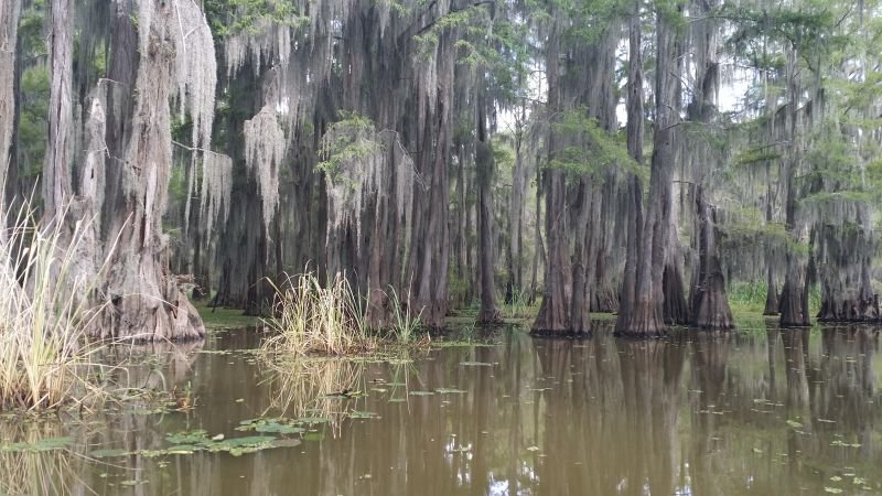 caddo3.jpg
