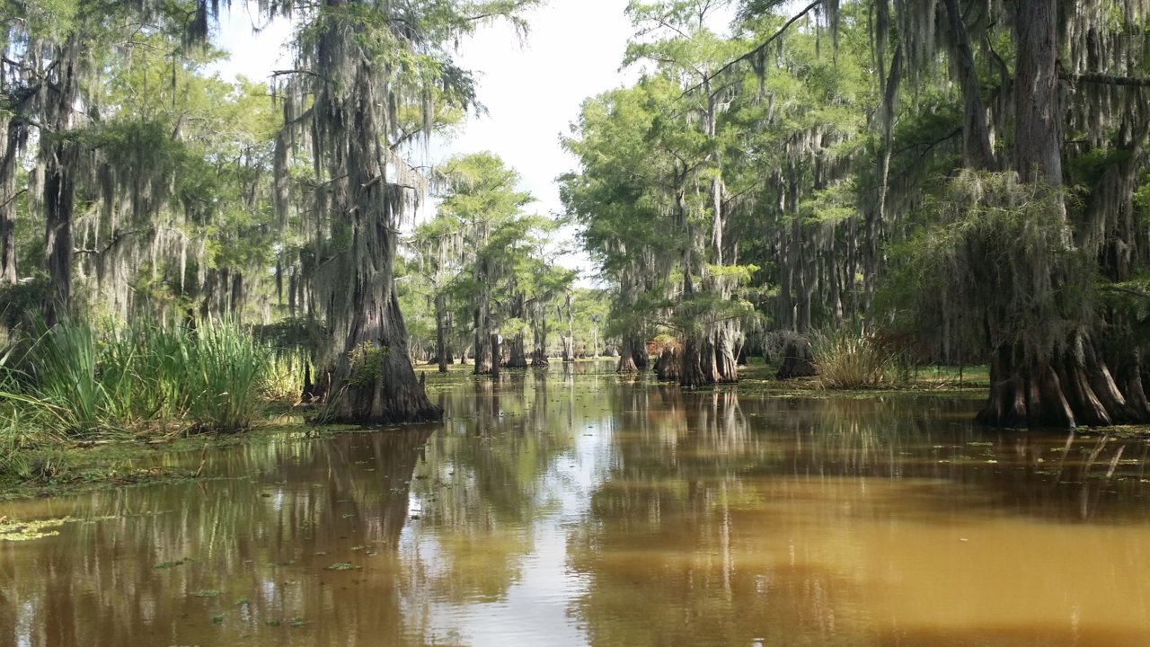 caddo4.jpg