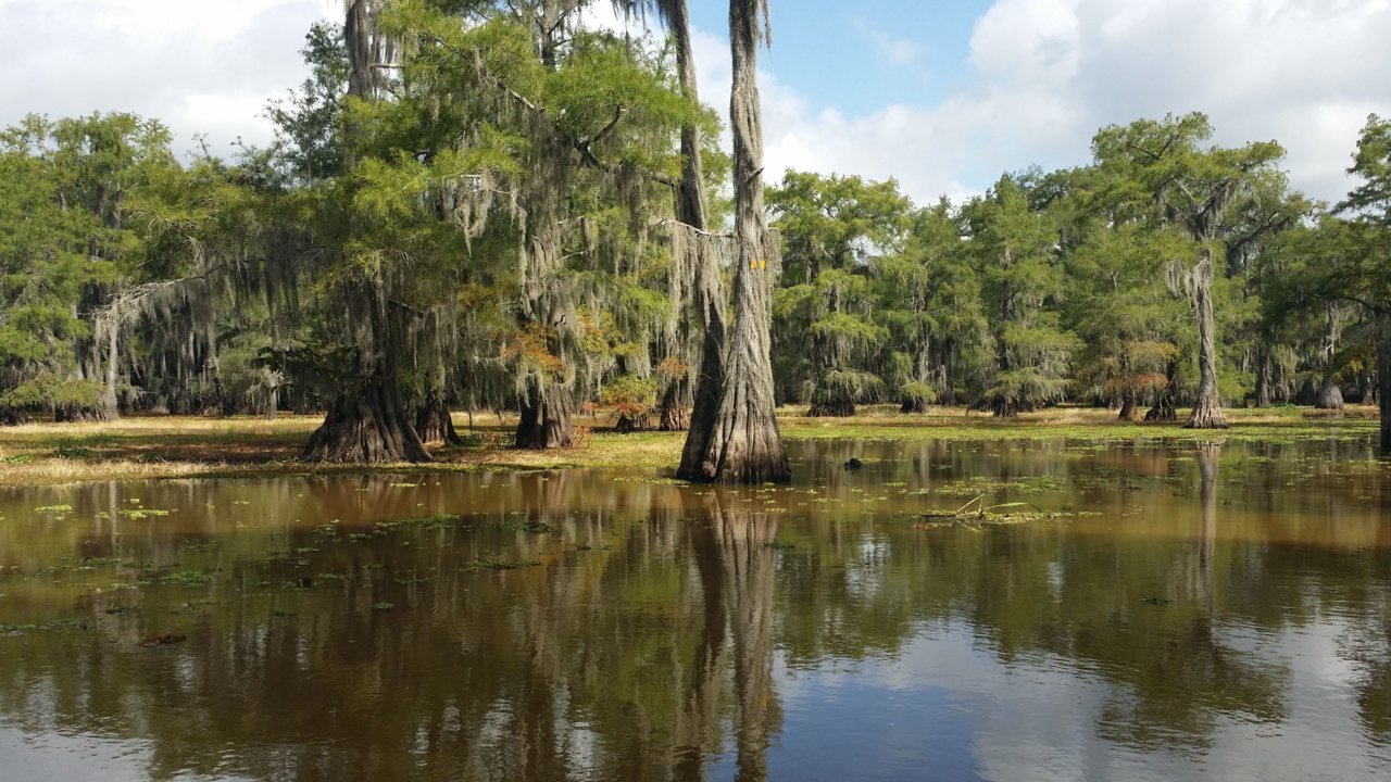 caddo5.jpg