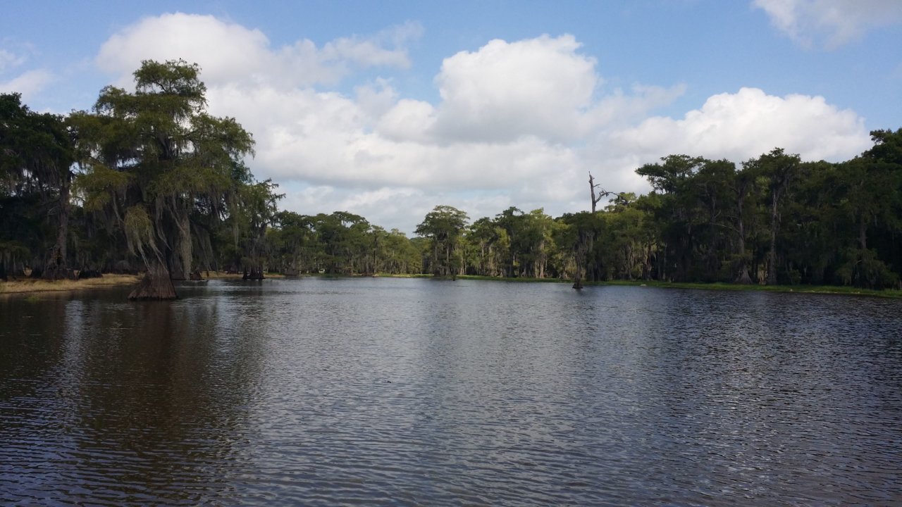 caddo7.jpg