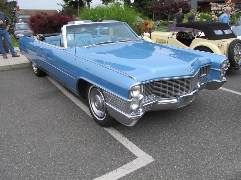 Caddy 1.jpg