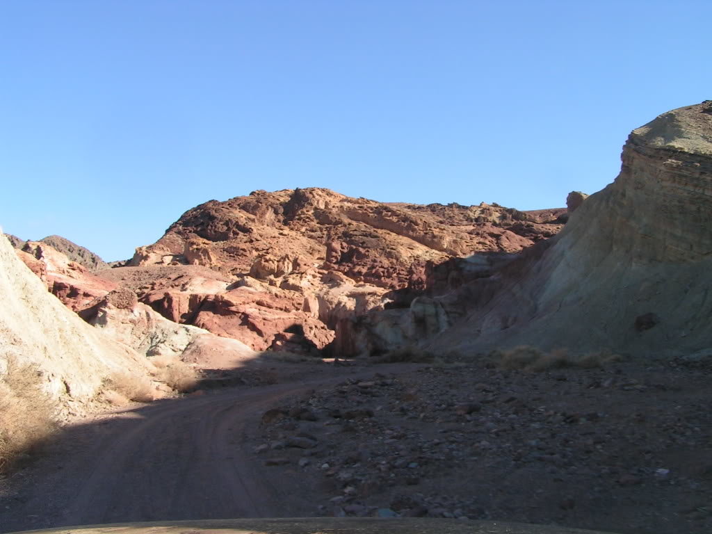 Calico027_c682f2f73f0d1de4b29ac4d480755a517f0d9245.jpg