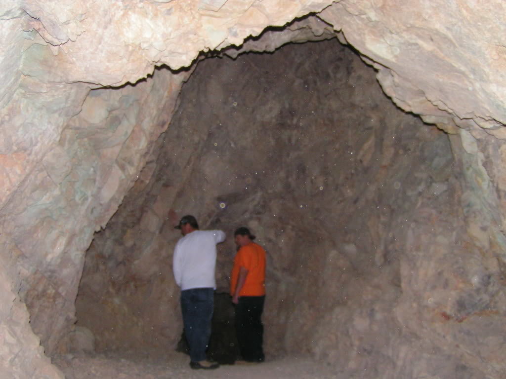 Calico057_01e0a8f02b688650478ce36ea0ba00203e8e67d3.jpg