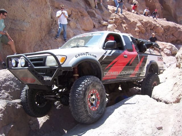calico_121.jpg