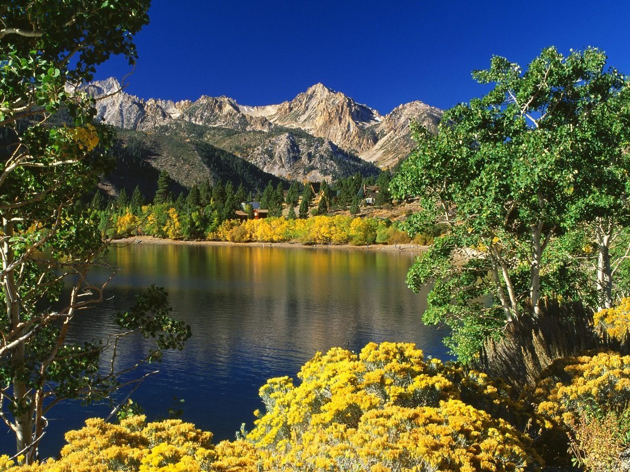 California-wallpaper-nature_5a8720bd1a466171626137538e658b5095d9fac5.jpg