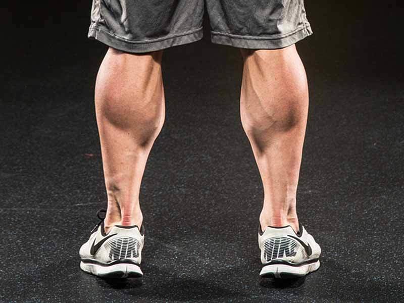 calves.jpg