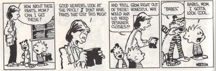 Calvin-and-Hobbes-Beards-and-Babes-450x308-Copie.jpg