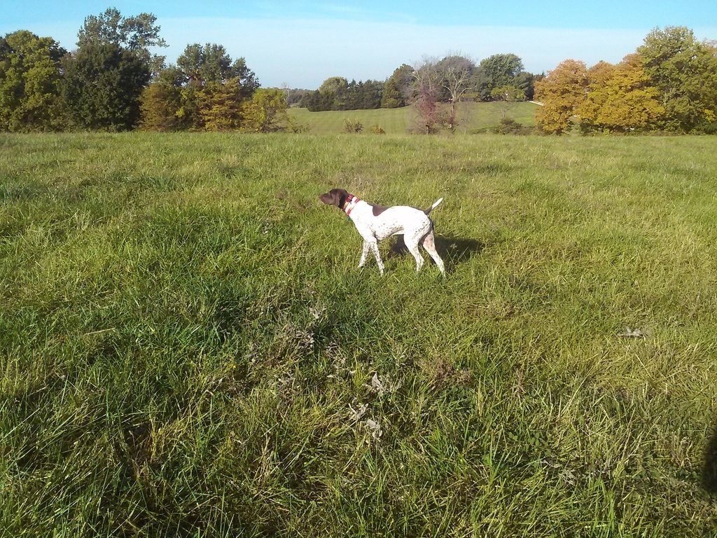 CAM00107_zpsrm6zdg5r_3749b81042b129669dd3f9d573554d25371a2e15.jpg