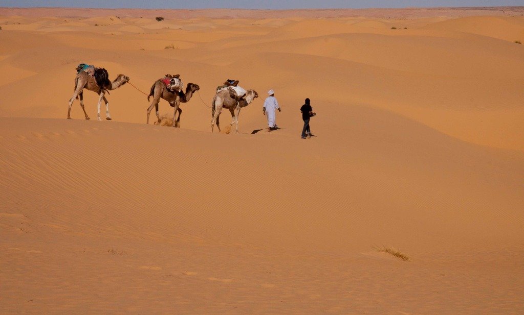 Camel%201%20of%201_zpswvopa2wo_e12ac48b4e712aa1d59244a9a0826d77317fb180.jpg