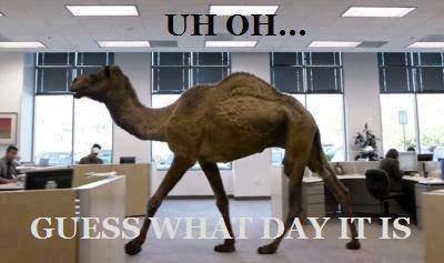 camel_zps70aedfe9_a7959663f6f8e14356773139bb32e8e4e731e101.jpg