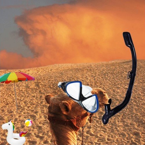 CamelBeach.jpg