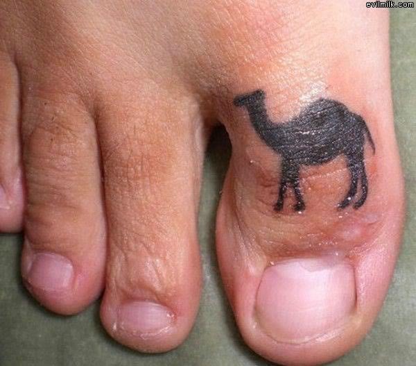 cameltoe_1e41216786470cdd46a551bde1988adea9a0a22a.jpg