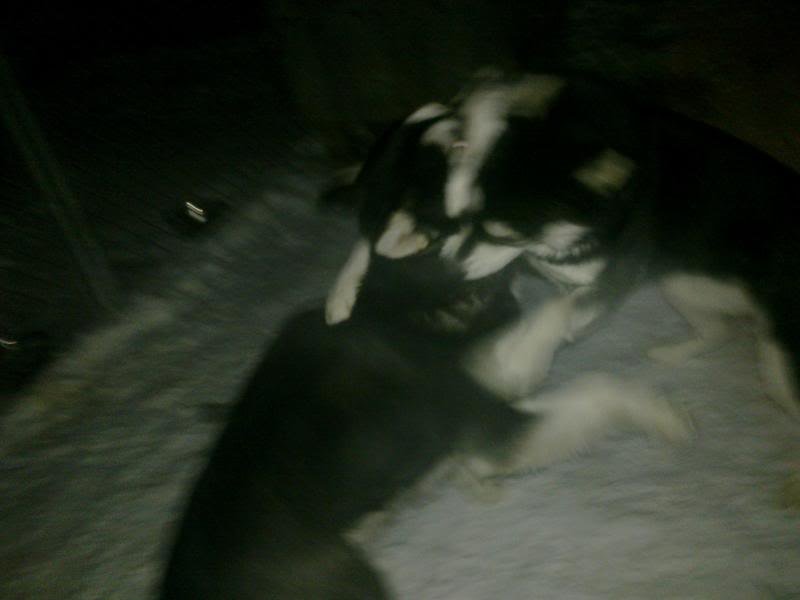 camerapics126_602bb3b2487fc2aa0fcbf8c2120abe8fc678d0aa.jpg