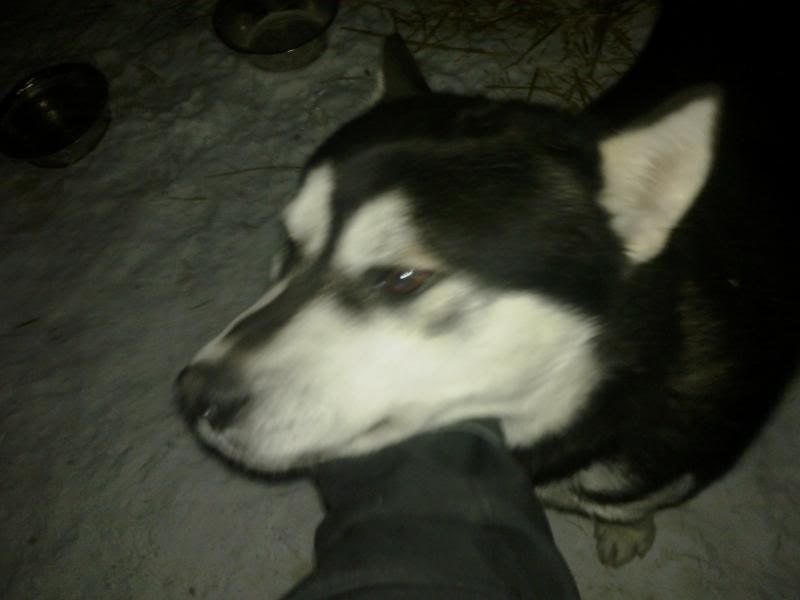 camerapics129_92d934e6241b410c8eb1b5118e908249306328aa.jpg