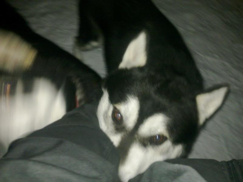 camerapics136_6644c67c5df0643ca51f222c755c69f653bab973.jpg