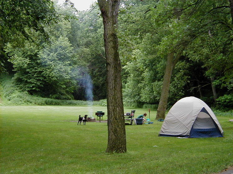camp 1.jpg