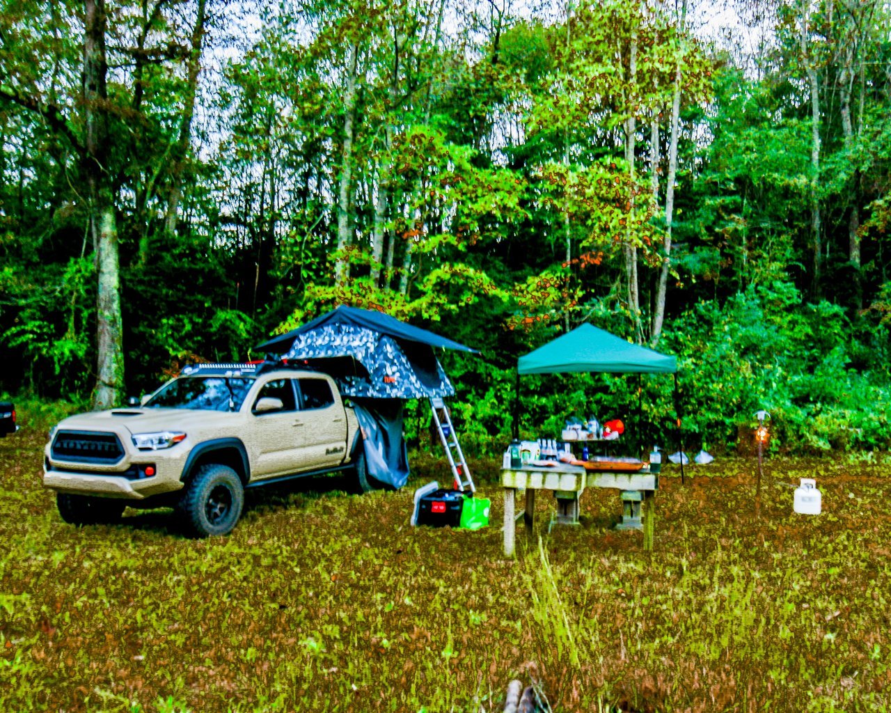 CAMP 3 (1 of 1).jpg