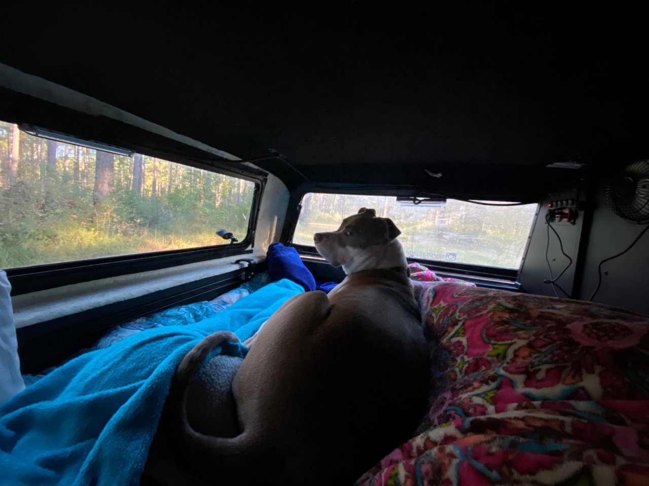 camp 5.jpg