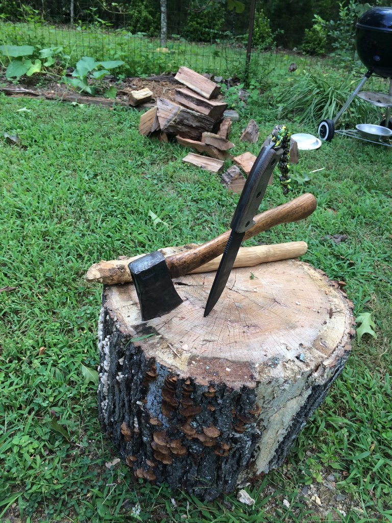 camp-axe-RAT7.jpg