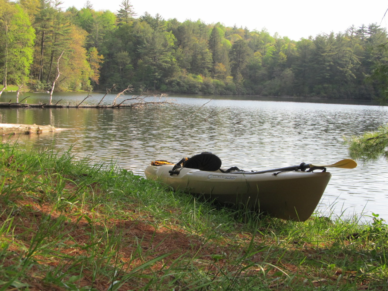 camping 05 2015 025.jpg