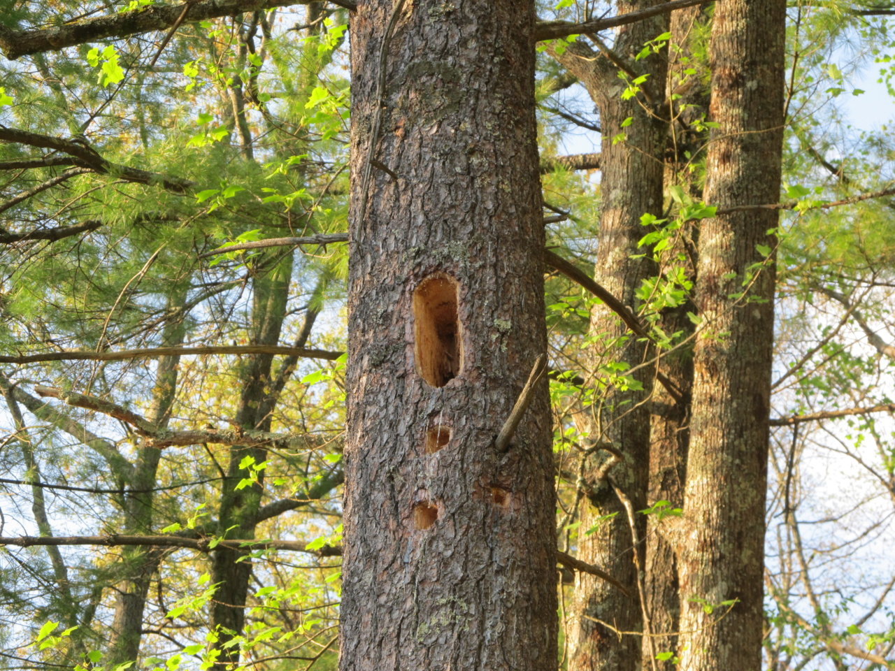 camping 05 2015 034.jpg