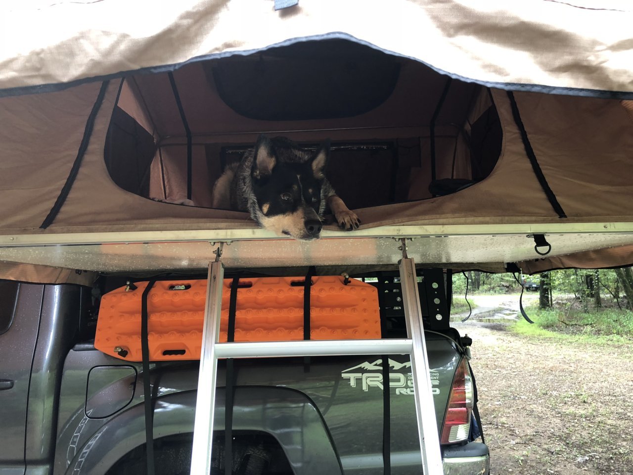 camping 4.jpg