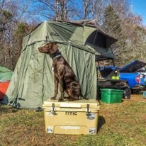 Camping.jpg