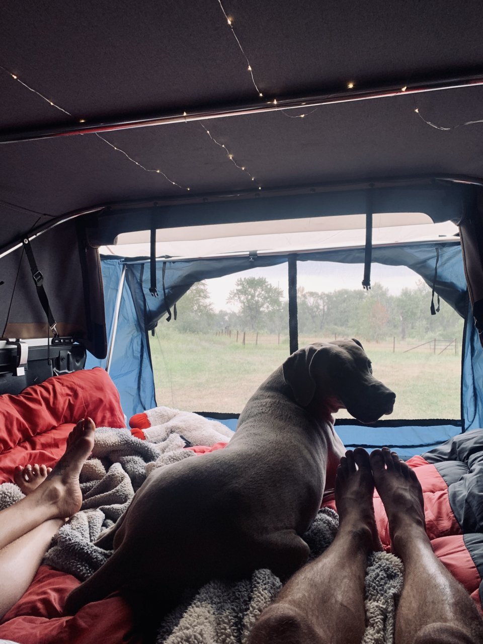 CAMPING.jpg